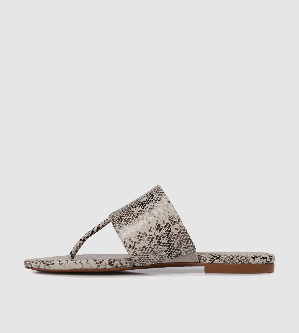 Shabana Flat Sandals by Sempre Di By Guilhermina