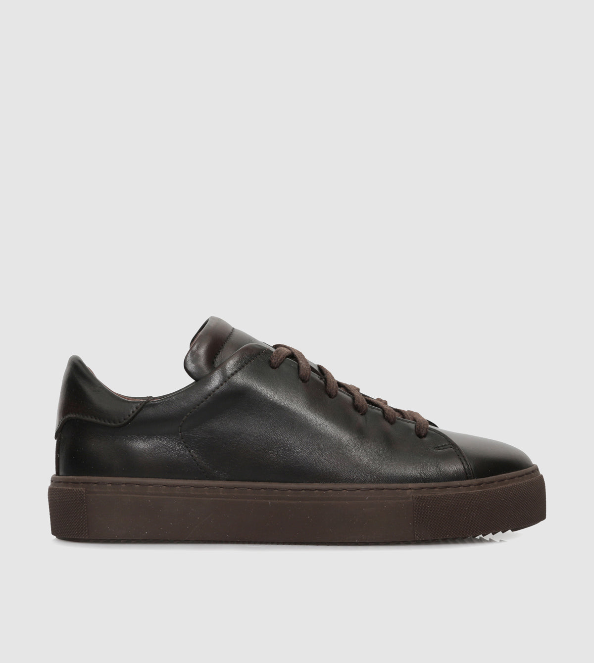 Brown_201