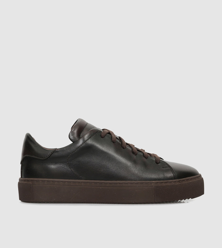 Brown_201