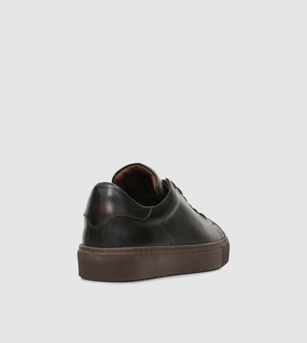 Brown_201