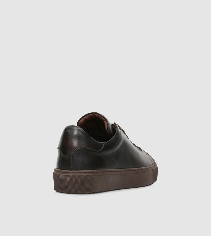 Brown_201