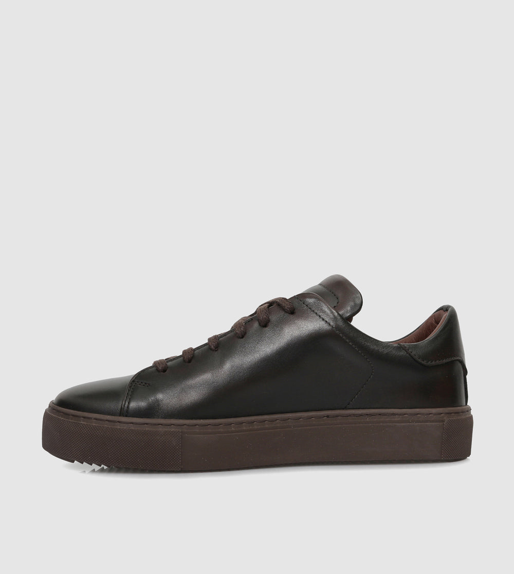 Brown_201