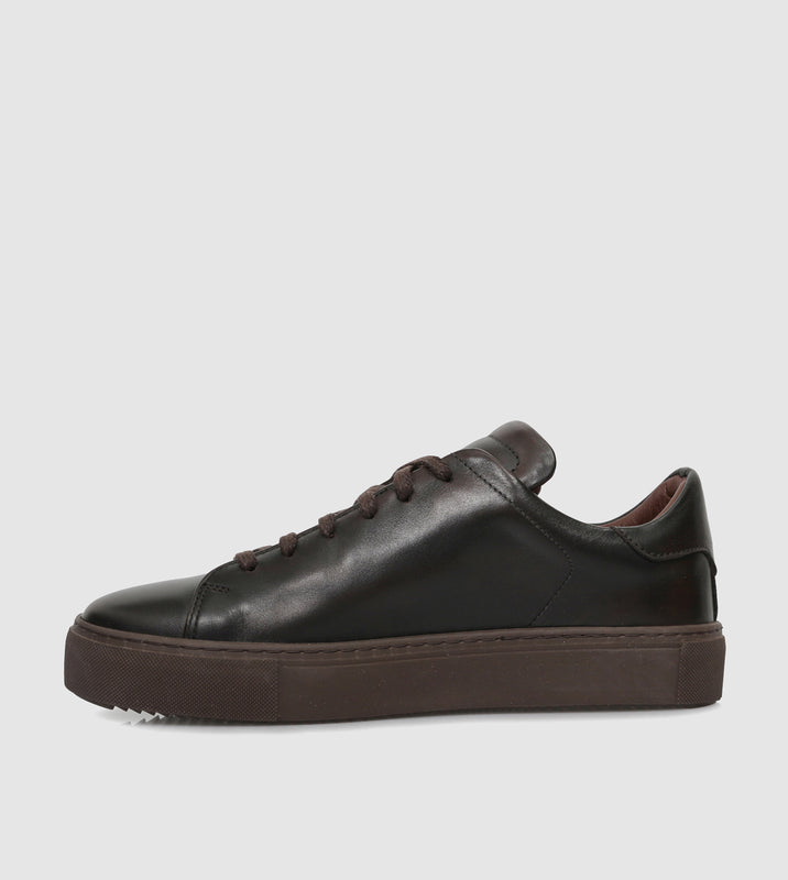 Brown_201