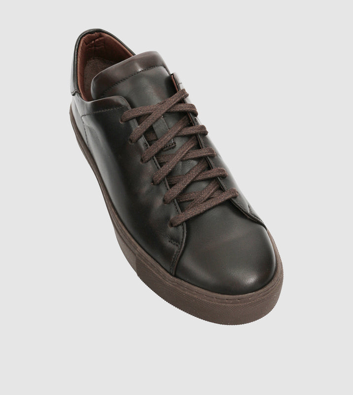Brown_201