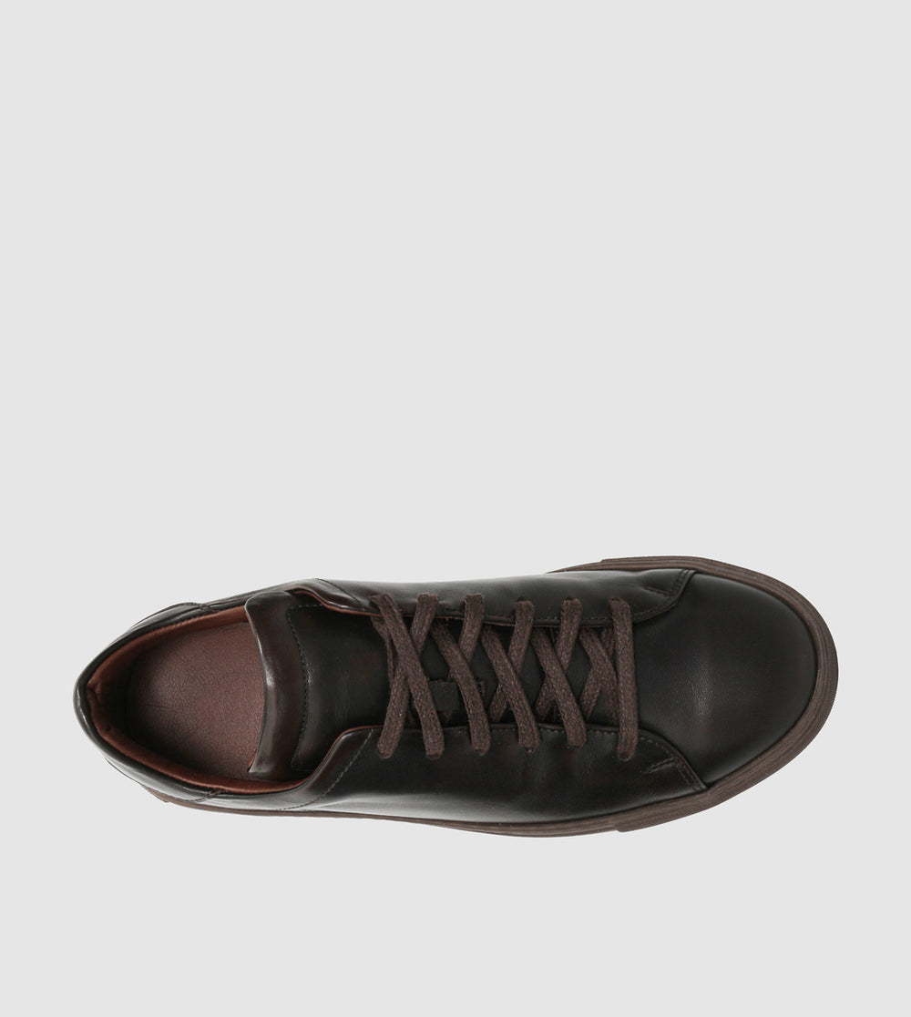Brown_201