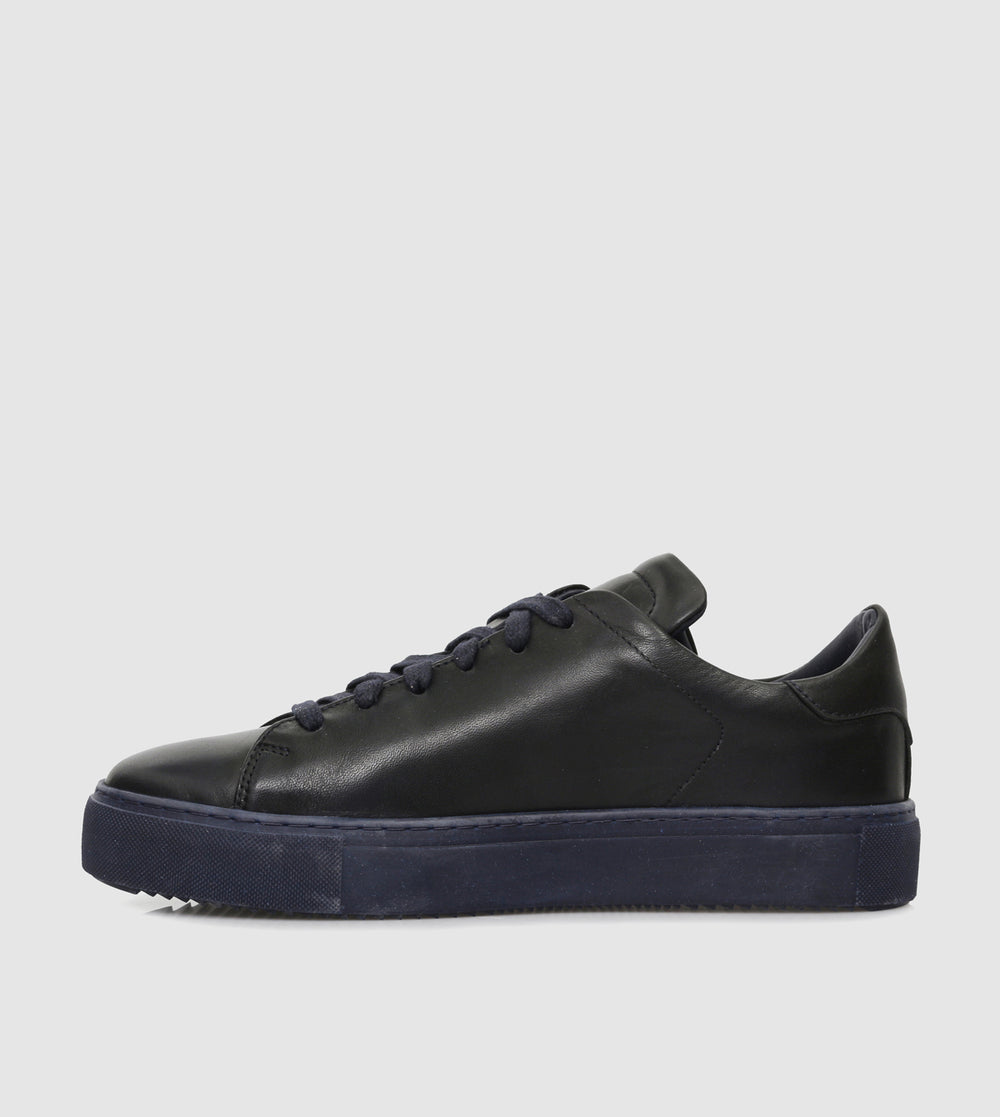 Dark Blue_431