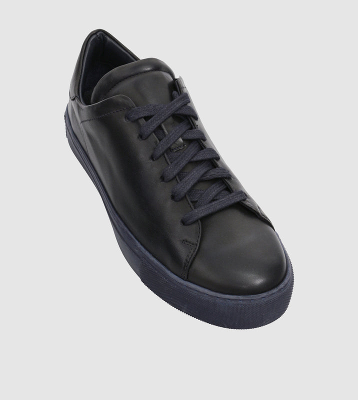 Dark Blue_431