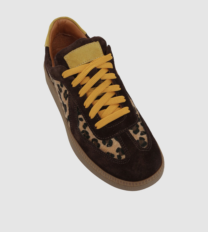 Leopard