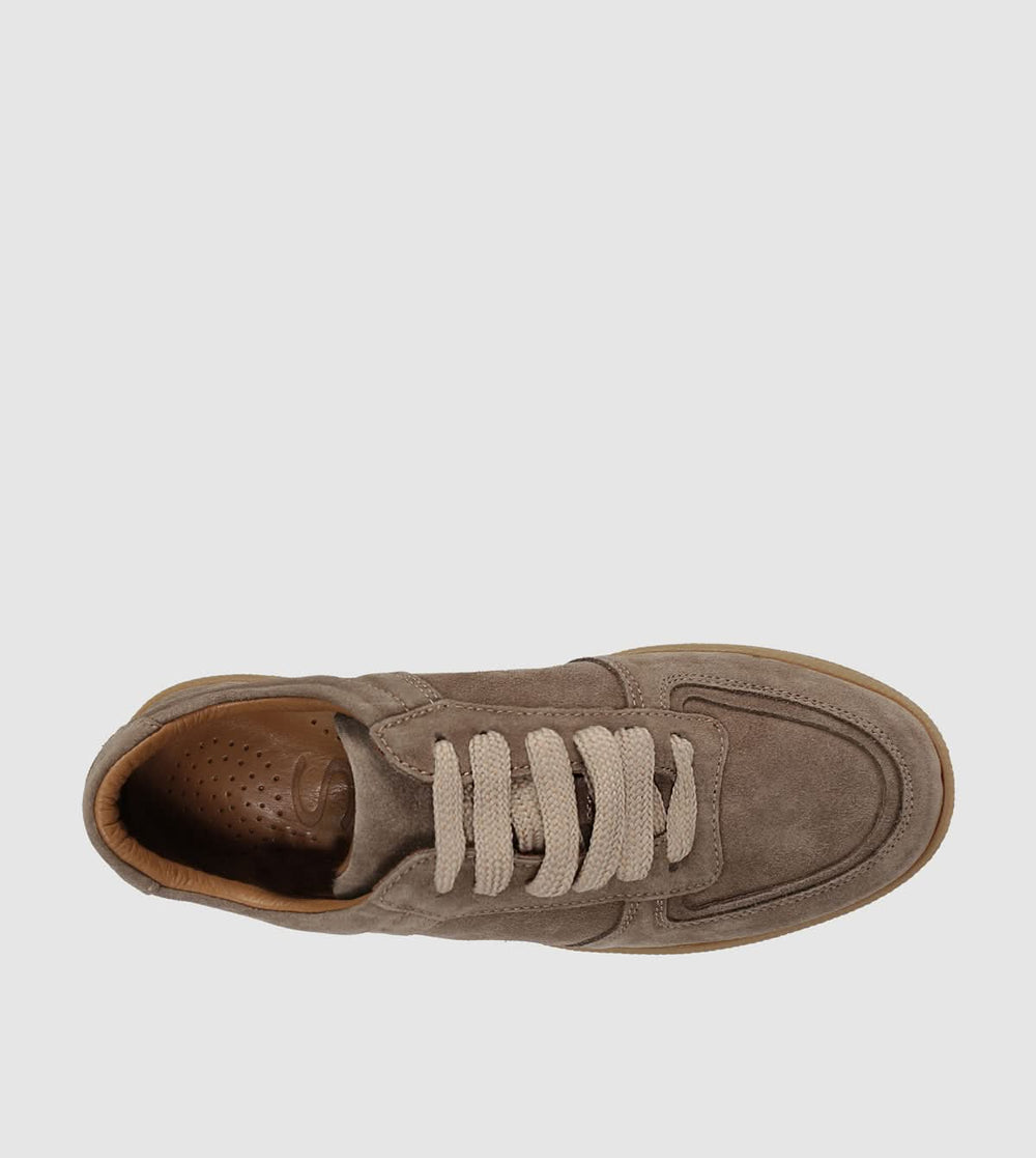Taupe
