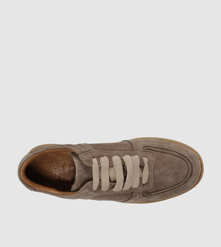 Taupe