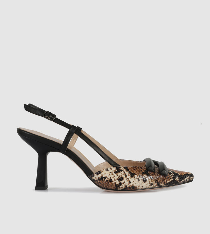 Black Python
