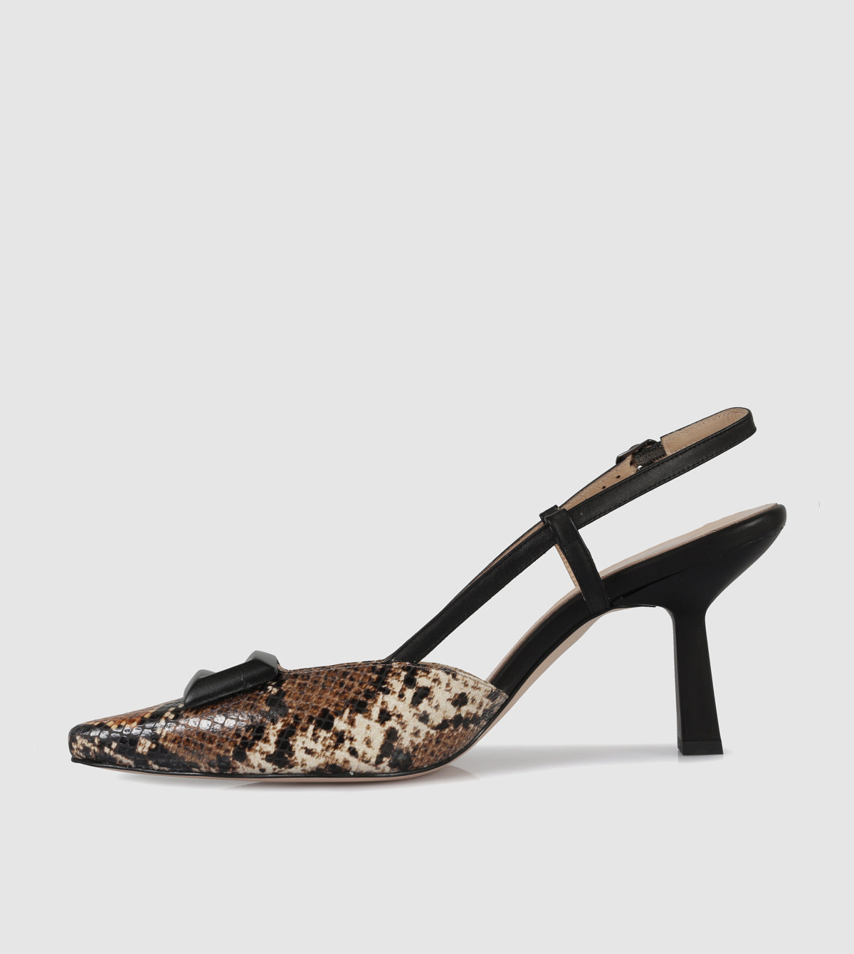 Black Python