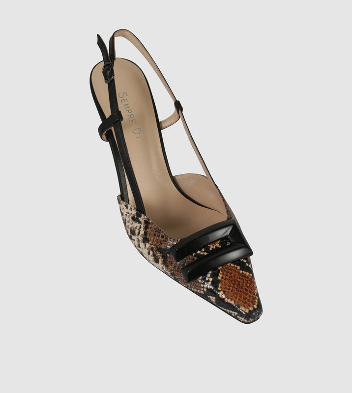 Black Python