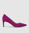 Dark Purple