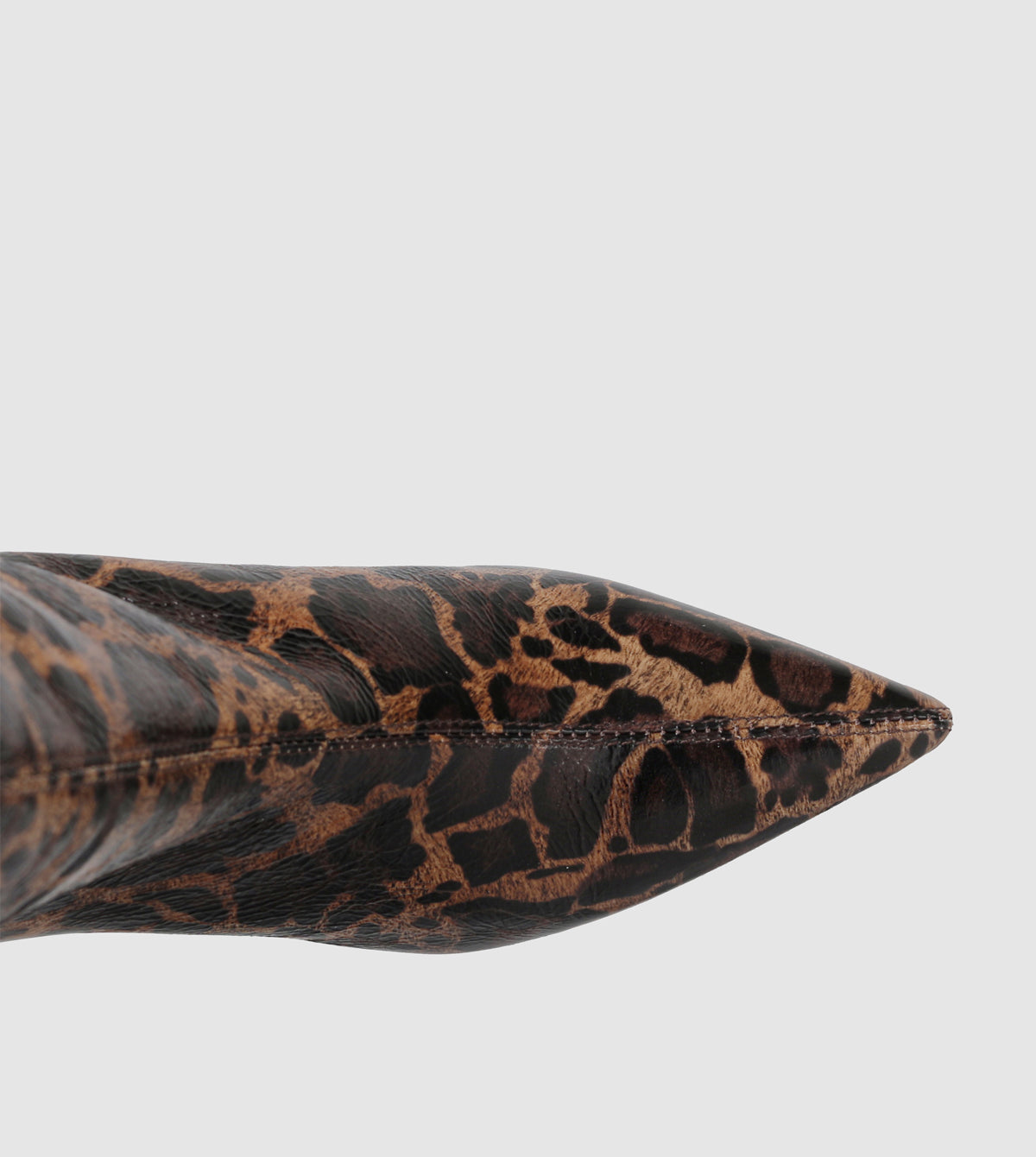 Tan Leopard