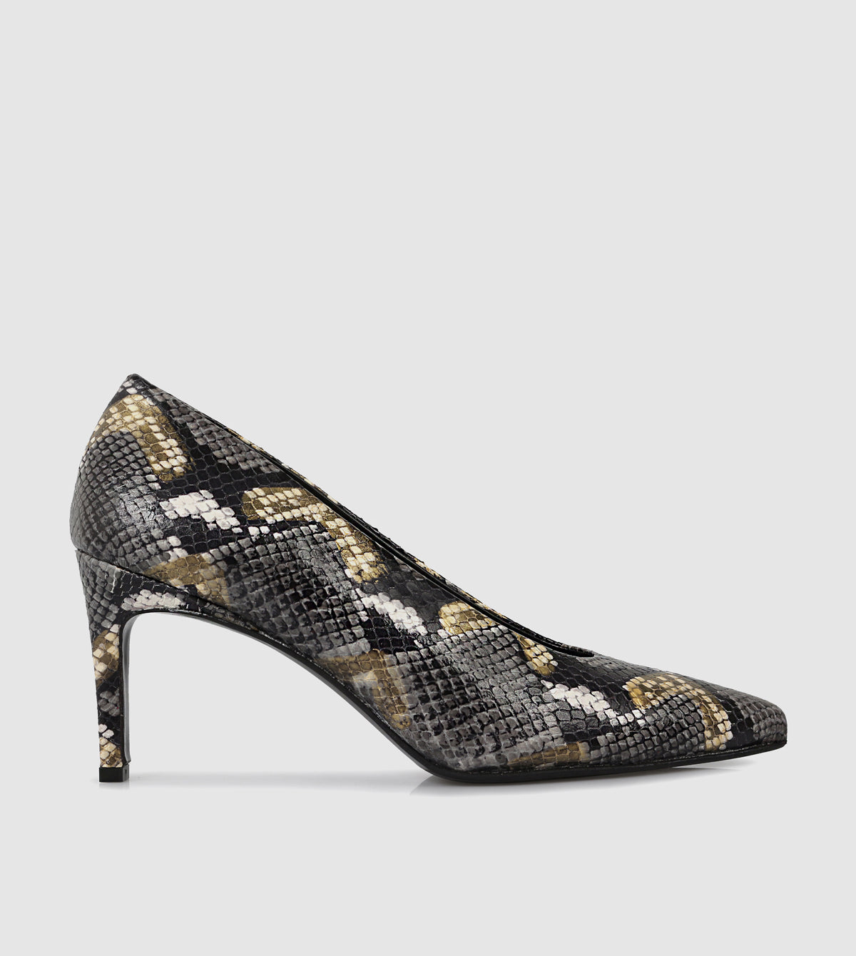 Black Python