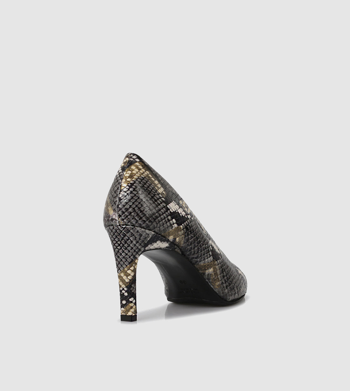 Black Python