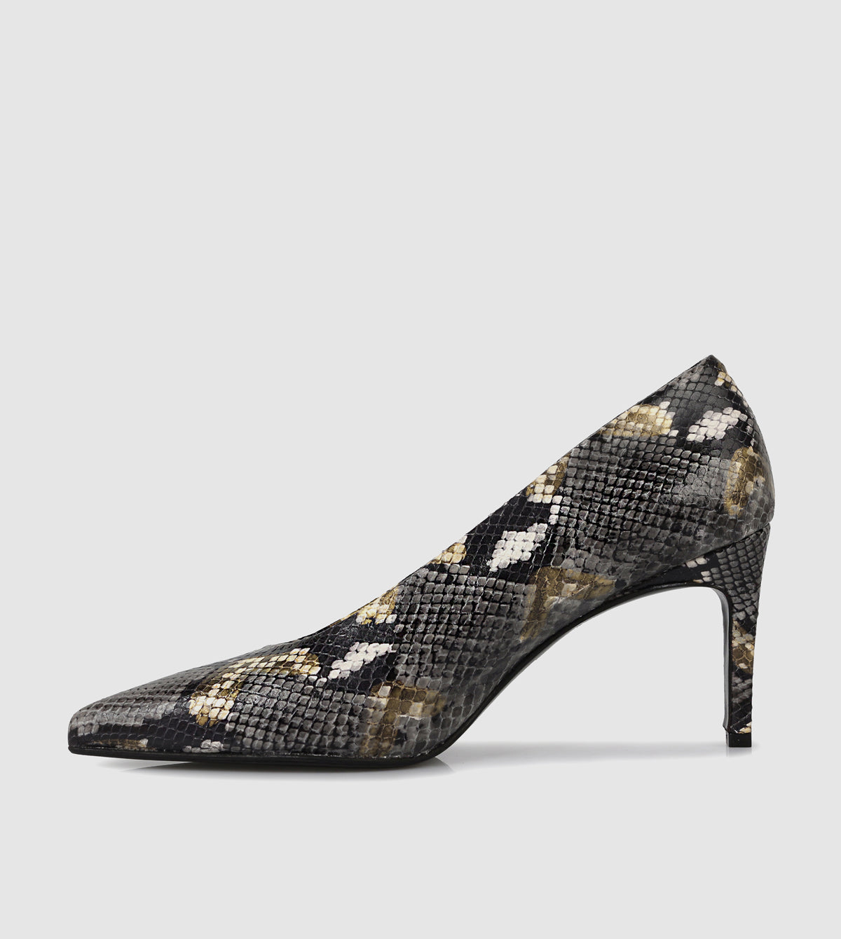 Black Python