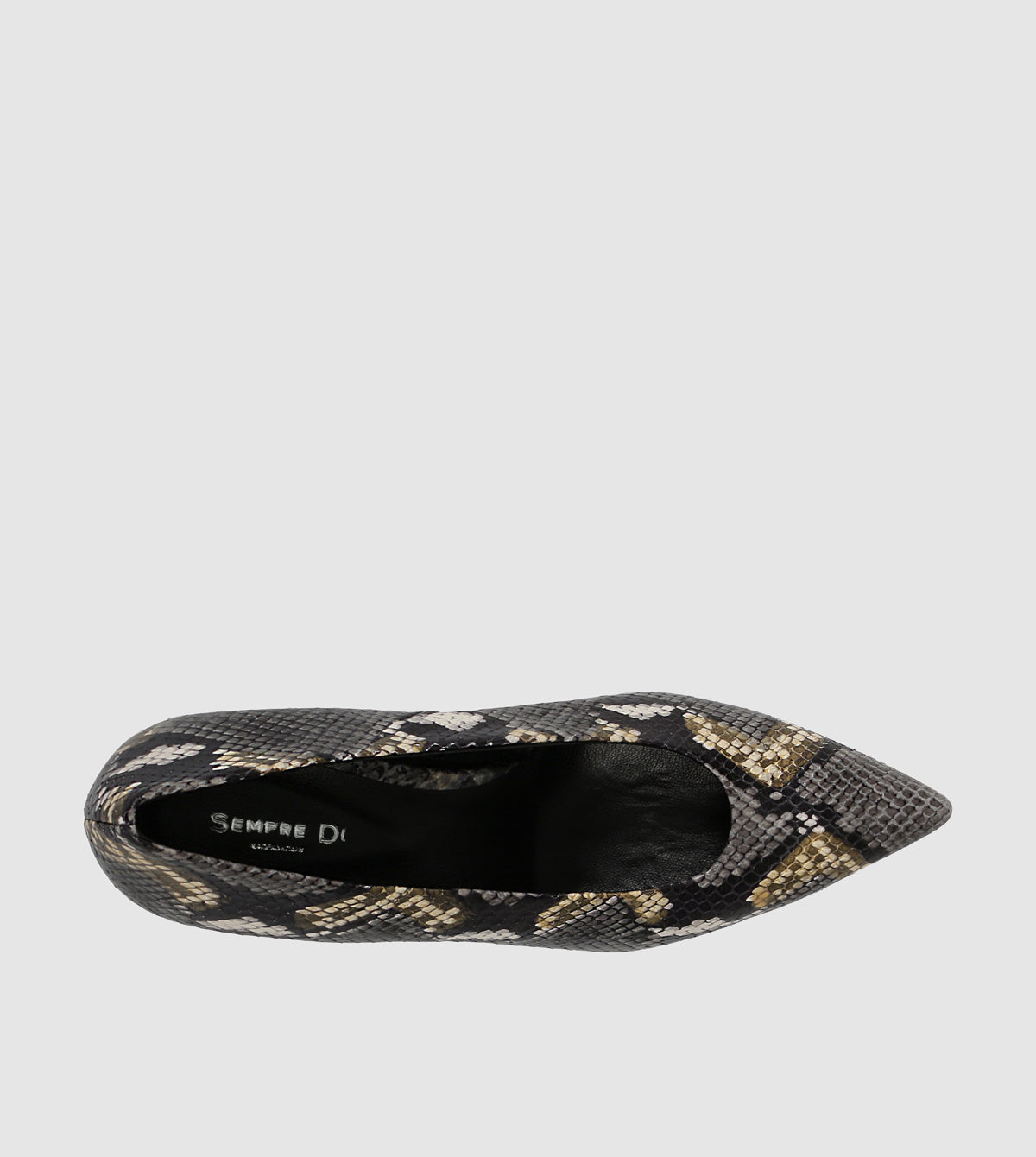 Black Python