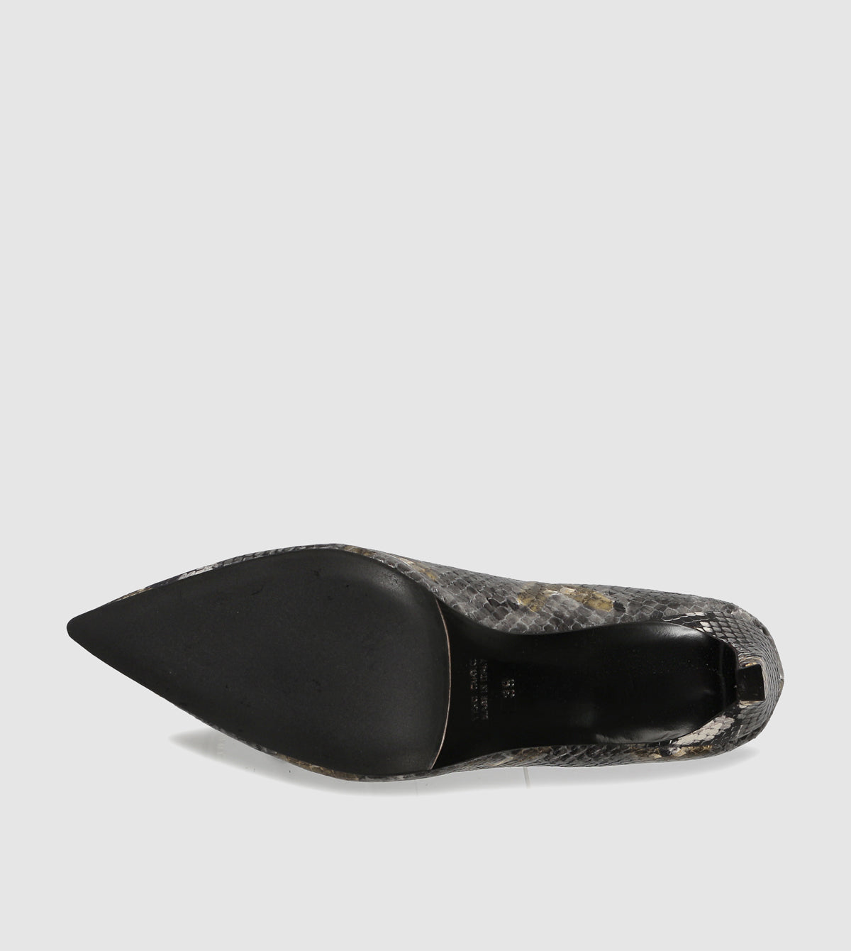 Black Python